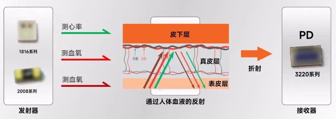 國(guó)星光電推出第四代智能健康感測(cè)新方案